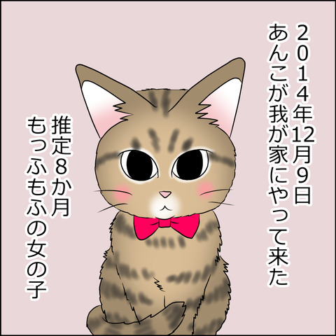 あんこ＆麦STORY1752a