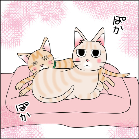 あんこ＆麦STORY1809b