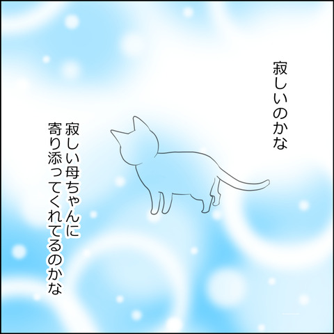 mugitabi028d