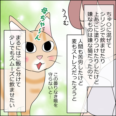 あんこ＆麦kenko157d