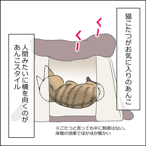 あんこ＆麦STORY2412a