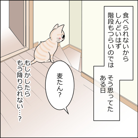 mugitabi015a