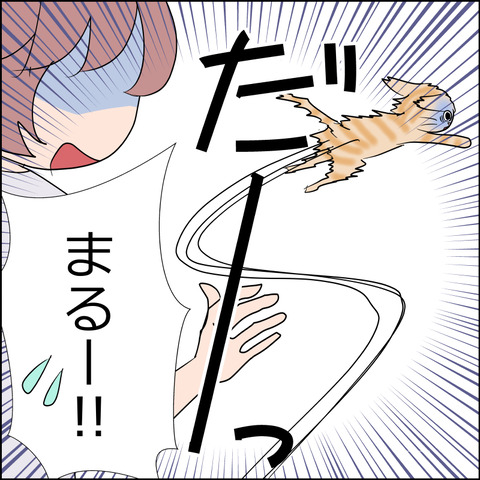 あんこ＆麦STORY2462d
