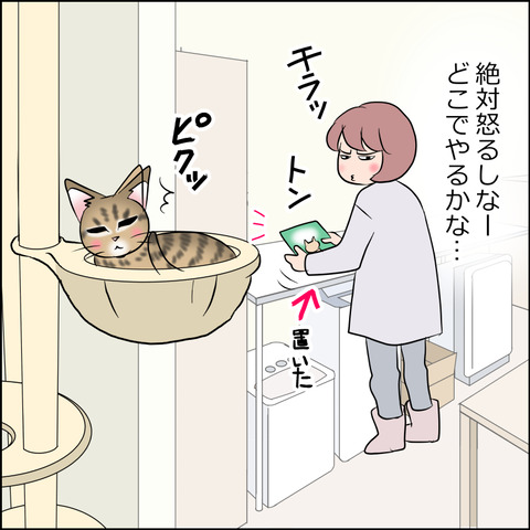 あんこ＆麦STORY1804b