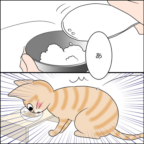 あんこ＆麦STORY2462b