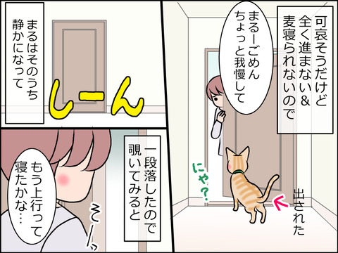 あんこ&麦STORY1562c