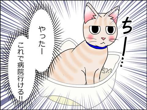 あんこ&麦kenko29c