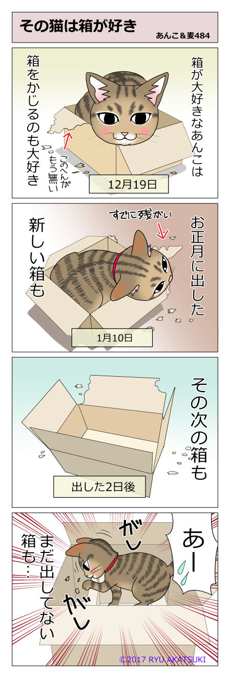 あんこ&麦STORY484