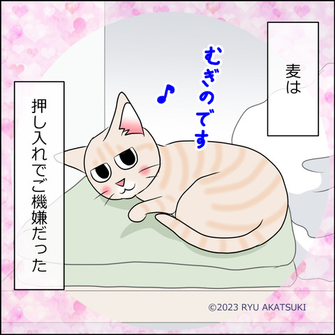 あんこ＆麦STORY1901d