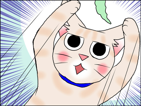 あんこ＆麦STORY1633c