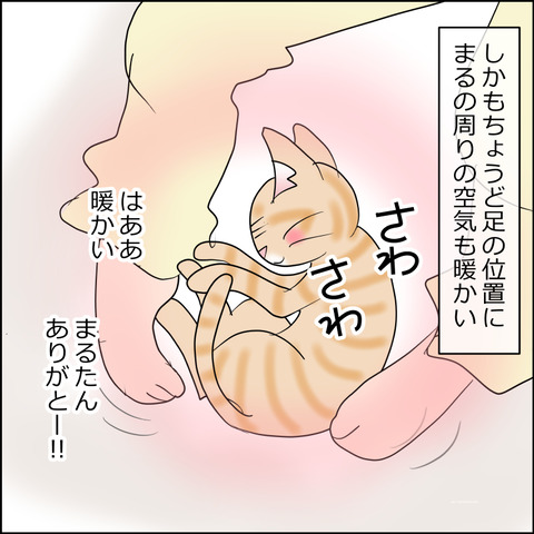 あんこ&麦STORY2375d