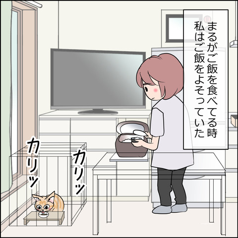あんこ＆麦STORY2462a
