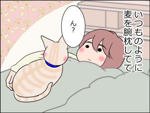 あんこ&麦STORY1560a