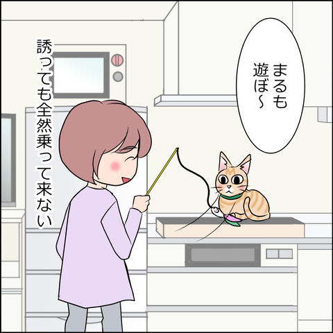 あんこ＆麦STORY1832b