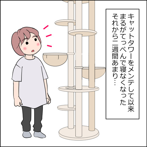 あんこ＆麦STORY2491a