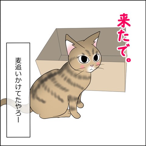 あんこ＆麦STORY2214i