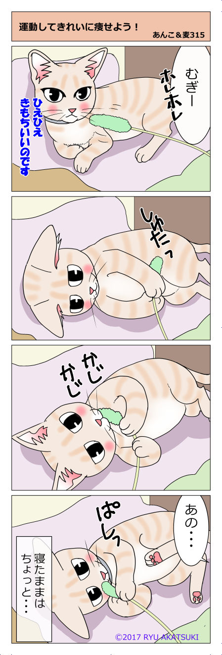 あんこ&麦STORY315