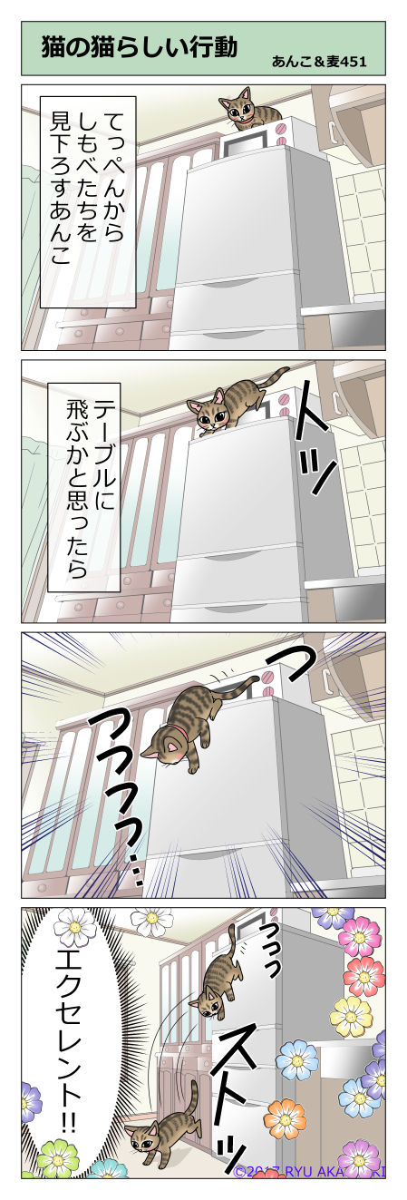 あんこ&麦STORY451