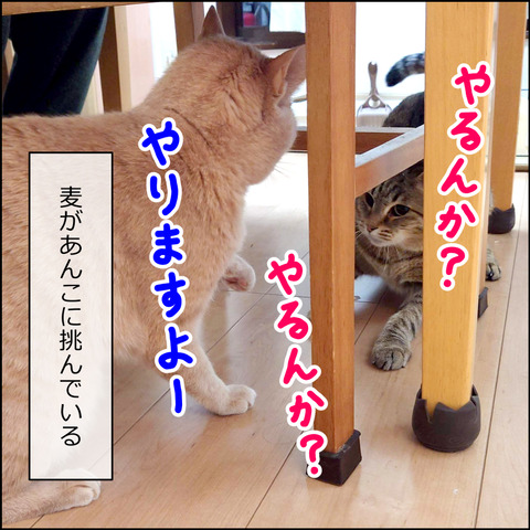 あんこ＆麦STORY2058a