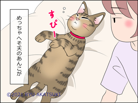 あんこ＆麦STORY1434d