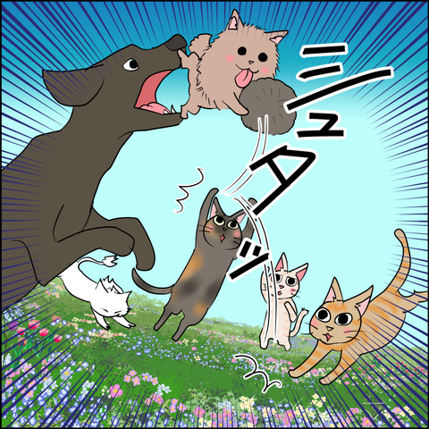 mugitabix009d