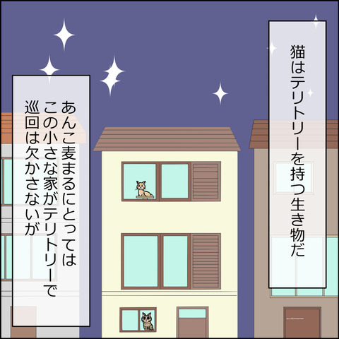 あんこ＆麦STORY2384a