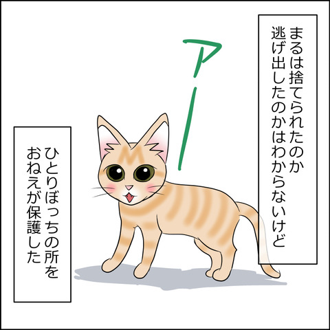 あんこ＆麦STORY2136b