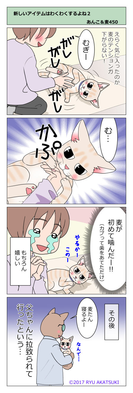 あんこ&麦STORY450