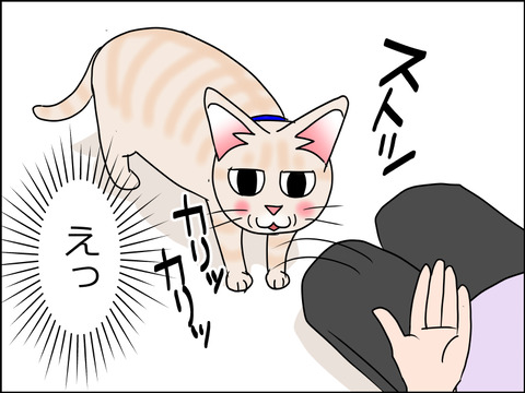 あんこ&麦STORY1466c