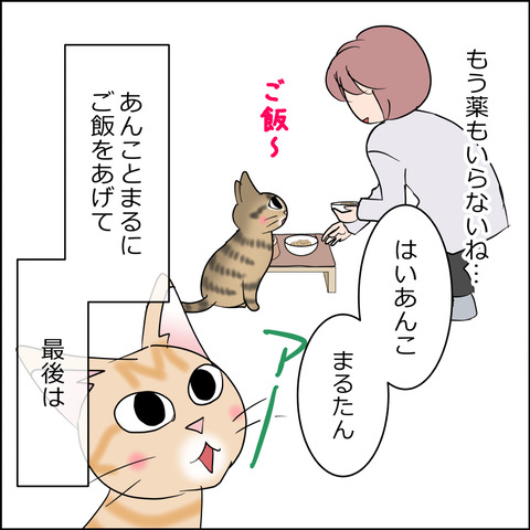 mugitabi002c