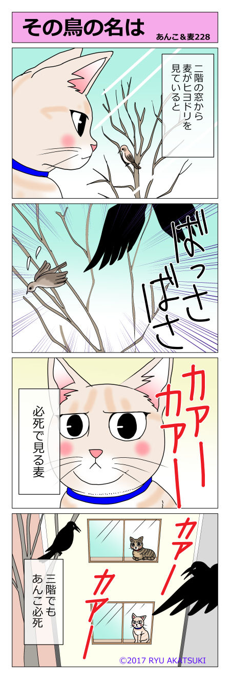 あんこ&麦STORY228