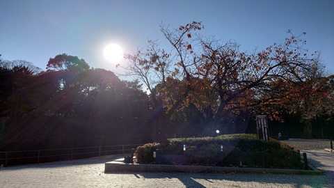 20241207_143258_Original