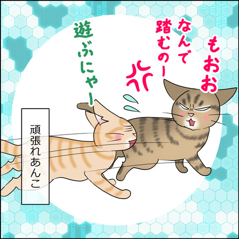 あんこ＆麦STORY2390d