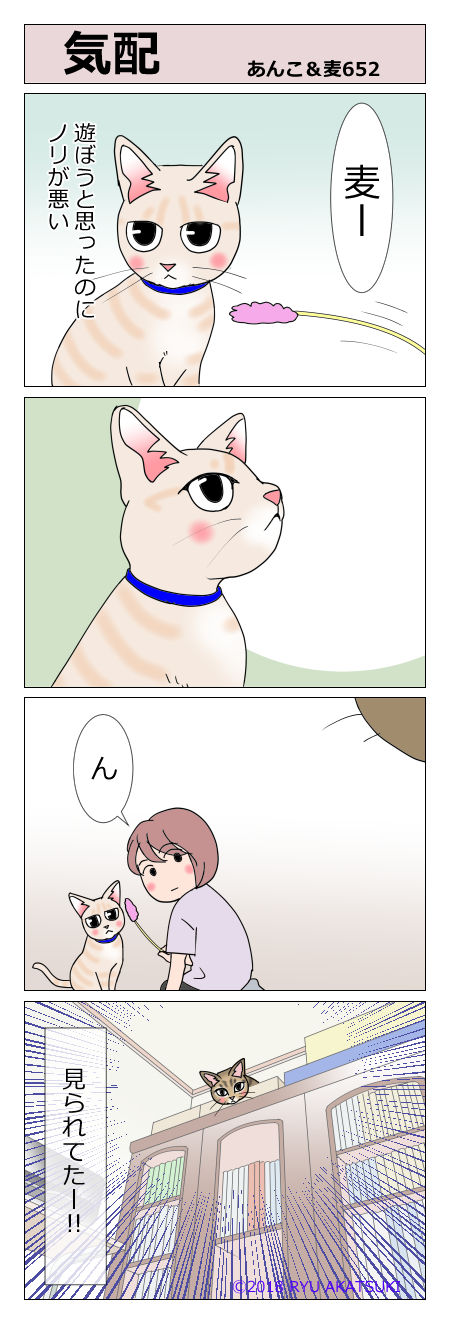 あんこ&麦STORY652