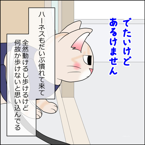 あんこ＆麦STORY2381b