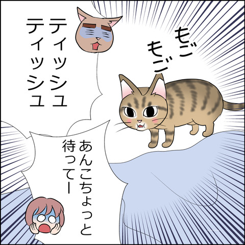 あんこ&麦STORY2368a