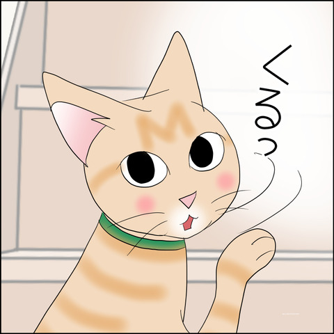 あんこ&麦STORY2333c