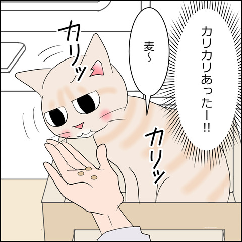 あんこ＆麦STORY2222g