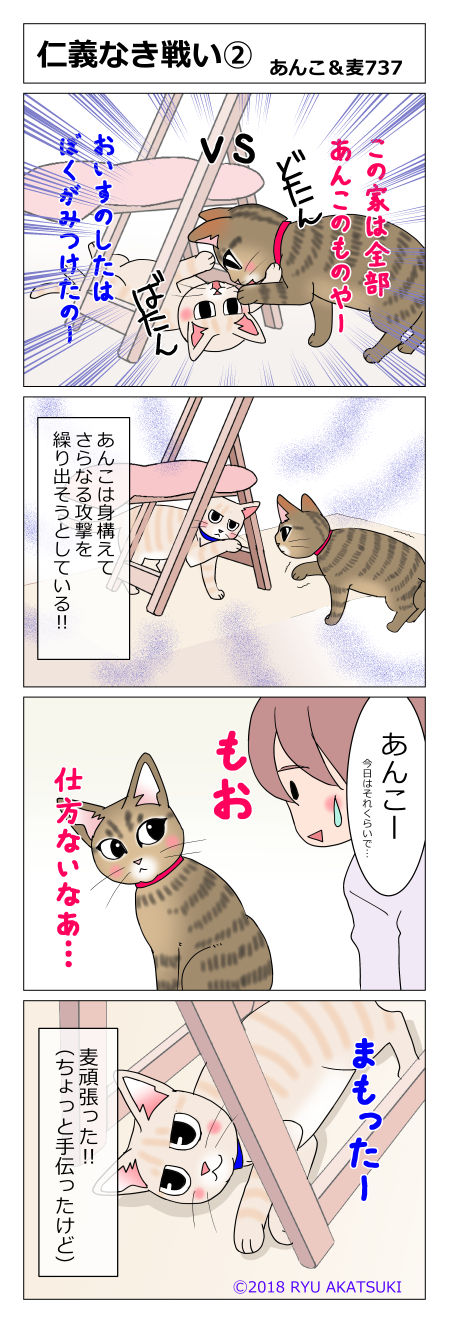 あんこ＆麦STORY737