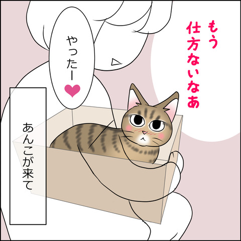 あんこ&麦STORY1855c