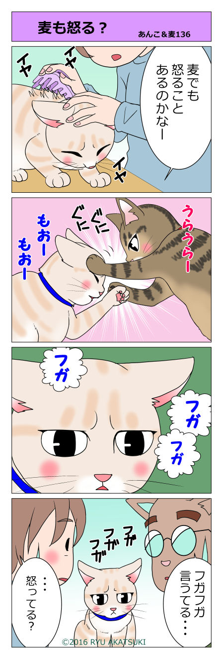 あんこ&麦STORY136