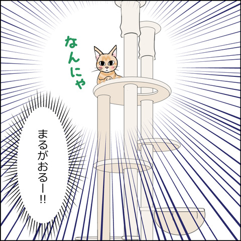 あんこ＆麦STORY2493c