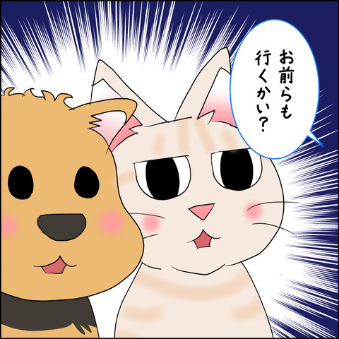 mugitabix030d