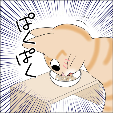 あんこ&麦kenko164c