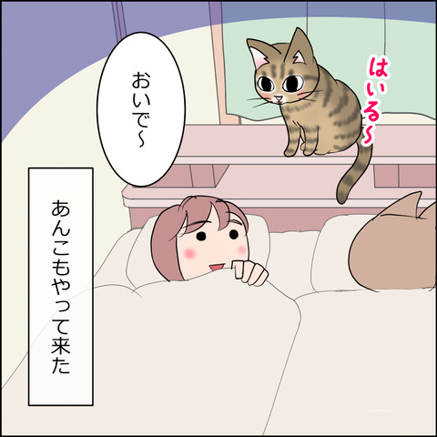 あんこ&麦STORY2497b
