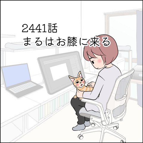 あんこ&麦STORY2441@