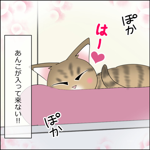 あんこ＆麦STORY2230d