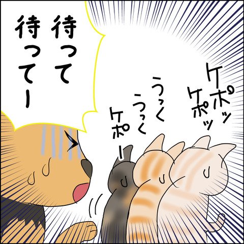 mugitabix010c