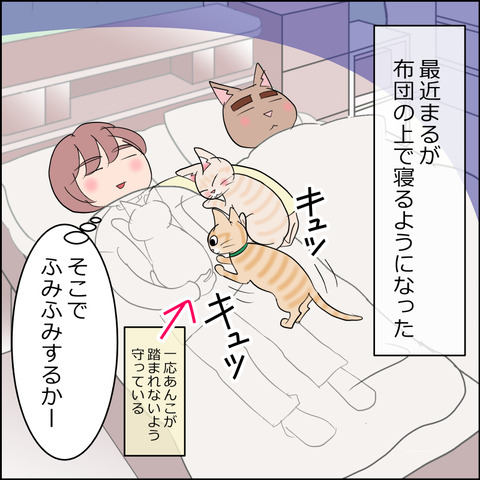 あんこ＆麦STORY2195a