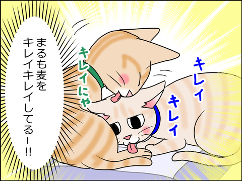 あんこ&麦STORY1492b